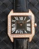 Cartier Santos Dumont  W2006951