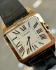 Cartier Santos Dumont  W2006951