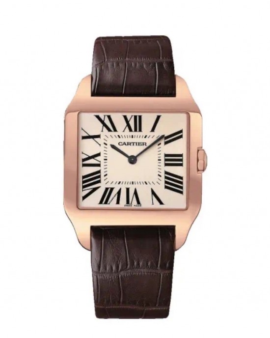 Cartier Santos Dumont  W2006951