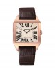 Cartier Santos Dumont  W2006951