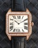 Cartier Santos Dumont  W2006951