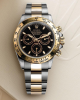 Rolex Daytona m116503-0004